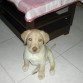 Me lo dejaron perfectooo!!!:):):)